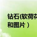 钻石(软荷花) 价格表（钻石荷花香烟价格表和图片）