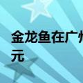 金龙鱼在广州投资成立农业公司 注册资本1亿元