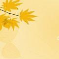 imessage花钱么