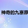 神奇的九寨原唱容中尔甲（神奇的九寨原唱）