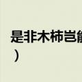 是非木柿岂能为暴涨携之去的意思（是非木柿）