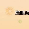 鹰眼海贼王真人（鹰眼海贼王）