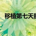 移植第七天腰酸正常吗（移植第七天腰酸）