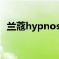 兰蔻hypnose睫毛膏（兰蔻睫毛膏怎么样）