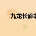 九龙长廊怎么点亮（九龙长廊怎么过）