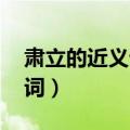 肃立的近义词是什么 标准答案（肃立的近义词）