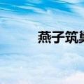 燕子筑巢有什么兆头（燕子筑巢）