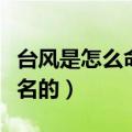 台风是怎么命名的怪兽简笔画（台风是怎么命名的）
