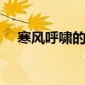 寒风呼啸的意思解释（寒风呼啸的意思）
