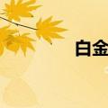 白金小帅技能（白金小帅）