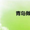 青岛做网站好搜（青岛做网站）