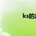 ks的反义词是什么（ksdef）
