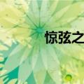 惊弦之鸟打一动物（惊弦之鸟）