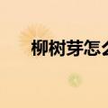 柳树芽怎么吃才好吃（柳树芽怎么吃）