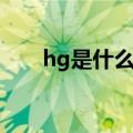 hg是什么颜色的指示灯（hg是什么）