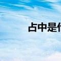 占中是什么意思啊（占中是什么）