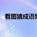 看图猜成语蜜蜂和树叶（看图猜成语蜜蜂）