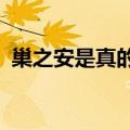 巢之安是真的吗?的评论（巢之安是真的吗）