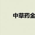 中草药金线风（金线风多少钱一斤）