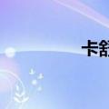 卡舒收入和费用管理评测