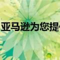 亚马逊为您提供现金返还以换取您的购物收据