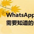 WhatsApp可能很快就会推出用户名功能你需要知道的一切