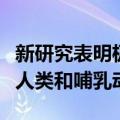 新研究表明极端高温可能会在遥远的未来消灭人类和哺乳动物