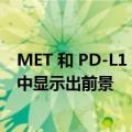 MET 和 PD-L1 联合抑制在 MET 驱动的转移性乳头状肾癌中显示出前景
