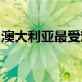 澳大利亚最受欢迎的汽车之一已进入租赁车队