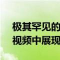 极其罕见的奥迪 TT RS Coupe 标志性版在视频中展现其艺术气息