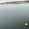 赵王新河：浅水低流速水文测验